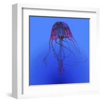 Red Jellyfish Illustration-Stocktrek Images-Framed Art Print