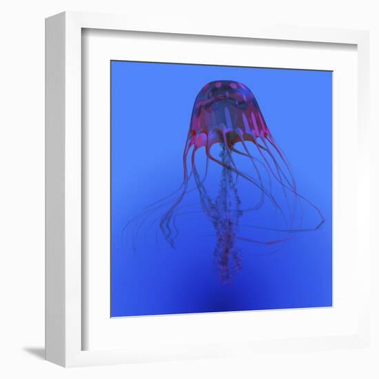 Red Jellyfish Illustration-Stocktrek Images-Framed Art Print