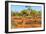 Red kangaroo (Macropus rufus) standing on the red sand of Outback central Australia-Alberto Mazza-Framed Photographic Print
