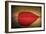 Red Kiss-Philippe Sainte-Laudy-Framed Giclee Print