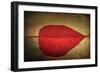 Red Kiss-Philippe Sainte-Laudy-Framed Giclee Print