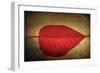 Red Kiss-Philippe Sainte-Laudy-Framed Giclee Print