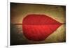 Red Kiss-Philippe Sainte-Laudy-Framed Giclee Print