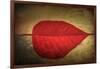 Red Kiss-Philippe Sainte-Laudy-Framed Giclee Print