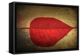Red Kiss-Philippe Sainte-Laudy-Framed Stretched Canvas