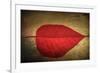 Red Kiss-Philippe Sainte-Laudy-Framed Giclee Print