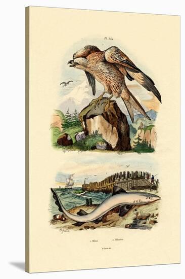 Red Kite, 1833-39-null-Stretched Canvas