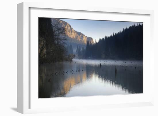 Red Lake and Suhardul Mara-Massif (1,507M) with Reflections and Tree Stumps in Water, Romania-Dörr-Framed Photographic Print