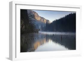 Red Lake and Suhardul Mara-Massif (1,507M) with Reflections and Tree Stumps in Water, Romania-Dörr-Framed Photographic Print