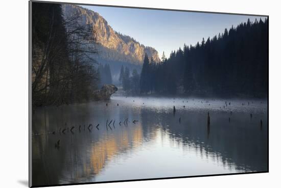 Red Lake and Suhardul Mara-Massif (1,507M) with Reflections and Tree Stumps in Water, Romania-Dörr-Mounted Photographic Print