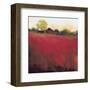 Red Land (detail)-Thomas Stotts-Framed Art Print