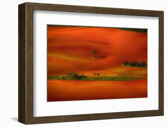 Red Land-Viviane Fedieu Daniel-Framed Photographic Print