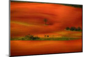 Red Land-Viviane Fedieu Daniel-Mounted Photographic Print