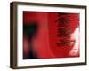 Red Lantern, Beijing, China-Peter Adams-Framed Premium Photographic Print