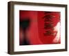 Red Lantern, Beijing, China-Peter Adams-Framed Photographic Print