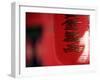 Red Lantern, Beijing, China-Peter Adams-Framed Photographic Print