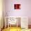 Red Lantern, Beijing, China-Peter Adams-Photographic Print displayed on a wall