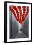 Red Lantern in the Alley,Beijing-long8614-Framed Photographic Print