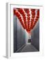 Red Lantern in the Alley,Beijing-long8614-Framed Photographic Print