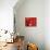 Red Lanterns at Temple, Taichung, Taiwan-Ian Trower-Photographic Print displayed on a wall