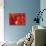 Red Lanterns at Temple, Taichung, Taiwan-Ian Trower-Photographic Print displayed on a wall