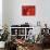 Red Lanterns at Temple, Taichung, Taiwan-Ian Trower-Photographic Print displayed on a wall