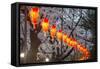 Red Lanterns Illuminating the Cherry Blossom in the Ueno Park, Tokyo, Japan, Asia-Michael Runkel-Framed Stretched Canvas