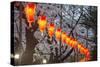 Red Lanterns Illuminating the Cherry Blossom in the Ueno Park, Tokyo, Japan, Asia-Michael Runkel-Stretched Canvas