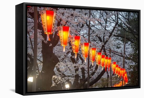 Red Lanterns Illuminating the Cherry Blossom in the Ueno Park, Tokyo, Japan, Asia-Michael Runkel-Framed Stretched Canvas