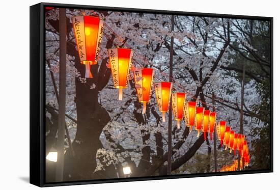 Red Lanterns Illuminating the Cherry Blossom in the Ueno Park, Tokyo, Japan, Asia-Michael Runkel-Framed Stretched Canvas