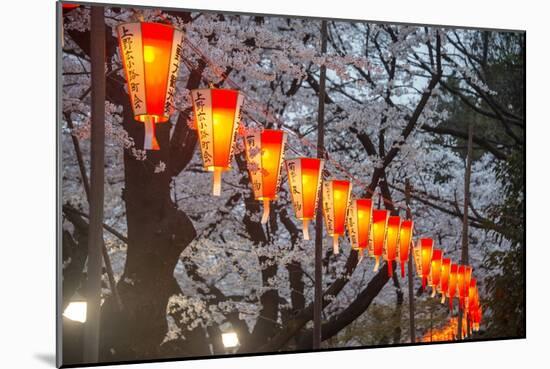 Red Lanterns Illuminating the Cherry Blossom in the Ueno Park, Tokyo, Japan, Asia-Michael Runkel-Mounted Photographic Print