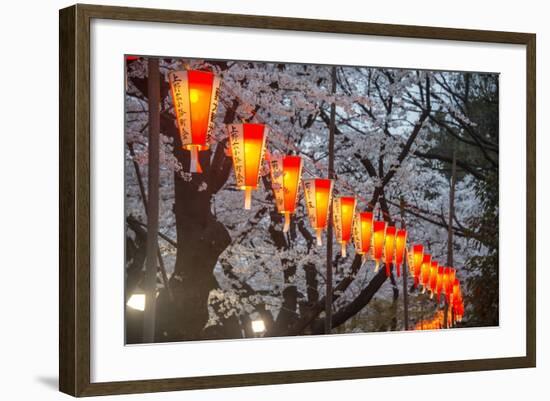 Red Lanterns Illuminating the Cherry Blossom in the Ueno Park, Tokyo, Japan, Asia-Michael Runkel-Framed Photographic Print