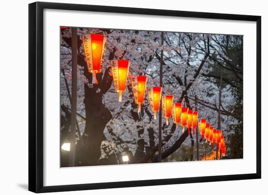 Red Lanterns Illuminating the Cherry Blossom in the Ueno Park, Tokyo, Japan, Asia-Michael Runkel-Framed Photographic Print