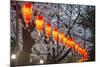 Red Lanterns Illuminating the Cherry Blossom in the Ueno Park, Tokyo, Japan, Asia-Michael Runkel-Mounted Photographic Print