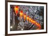 Red Lanterns Illuminating the Cherry Blossom in the Ueno Park, Tokyo, Japan, Asia-Michael Runkel-Framed Photographic Print