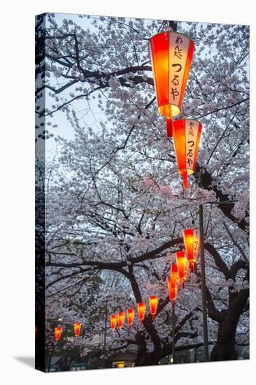 Red Lanterns Illuminating the Cherry Blossom in the Ueno Park, Tokyo, Japan, Asia-Michael Runkel-Stretched Canvas