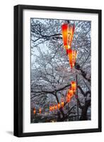 Red Lanterns Illuminating the Cherry Blossom in the Ueno Park, Tokyo, Japan, Asia-Michael Runkel-Framed Photographic Print