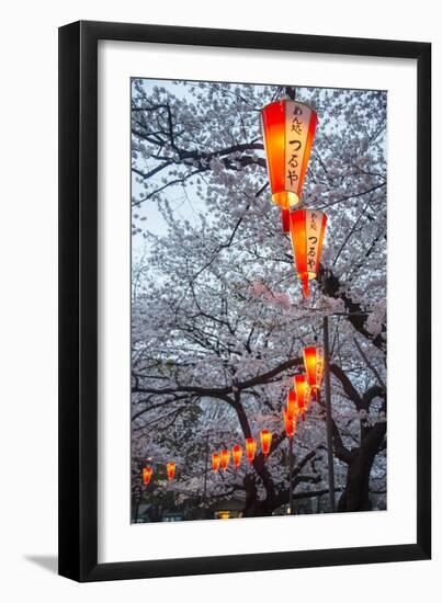 Red Lanterns Illuminating the Cherry Blossom in the Ueno Park, Tokyo, Japan, Asia-Michael Runkel-Framed Photographic Print