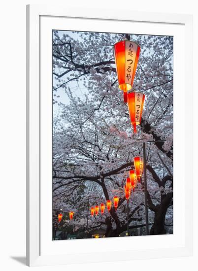 Red Lanterns Illuminating the Cherry Blossom in the Ueno Park, Tokyo, Japan, Asia-Michael Runkel-Framed Photographic Print