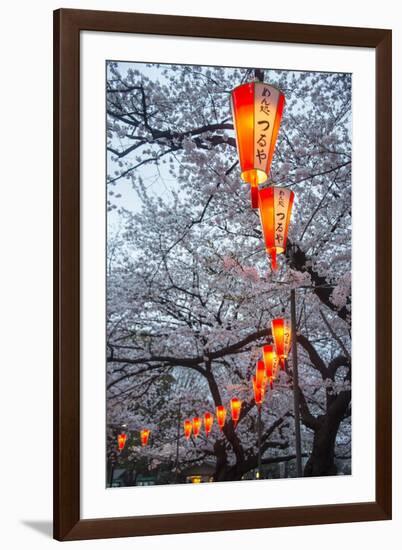 Red Lanterns Illuminating the Cherry Blossom in the Ueno Park, Tokyo, Japan, Asia-Michael Runkel-Framed Photographic Print