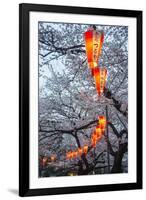 Red Lanterns Illuminating the Cherry Blossom in the Ueno Park, Tokyo, Japan, Asia-Michael Runkel-Framed Photographic Print