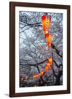 Red Lanterns Illuminating the Cherry Blossom in the Ueno Park, Tokyo, Japan, Asia-Michael Runkel-Framed Photographic Print