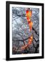 Red Lanterns Illuminating the Cherry Blossom in the Ueno Park, Tokyo, Japan, Asia-Michael Runkel-Framed Photographic Print