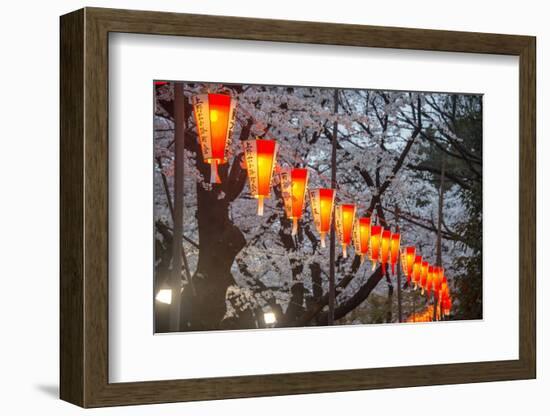 Red Lanterns Illuminating the Cherry Blossom in the Ueno Park, Tokyo, Japan, Asia-Michael Runkel-Framed Photographic Print