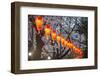 Red Lanterns Illuminating the Cherry Blossom in the Ueno Park, Tokyo, Japan, Asia-Michael Runkel-Framed Photographic Print