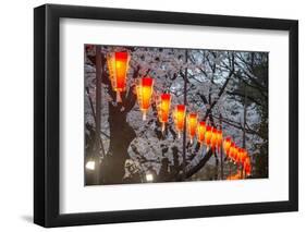 Red Lanterns Illuminating the Cherry Blossom in the Ueno Park, Tokyo, Japan, Asia-Michael Runkel-Framed Photographic Print