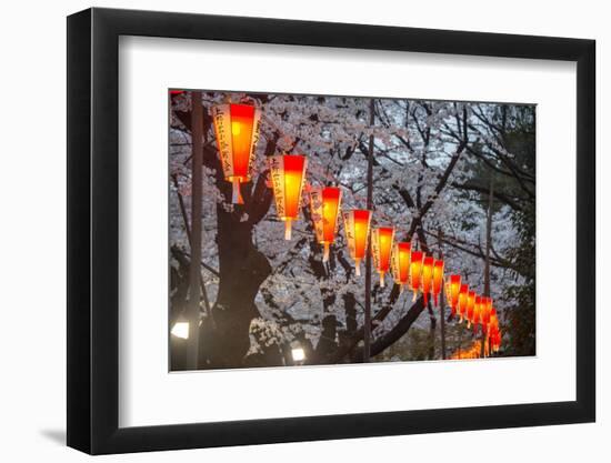 Red Lanterns Illuminating the Cherry Blossom in the Ueno Park, Tokyo, Japan, Asia-Michael Runkel-Framed Photographic Print