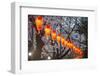 Red Lanterns Illuminating the Cherry Blossom in the Ueno Park, Tokyo, Japan, Asia-Michael Runkel-Framed Photographic Print