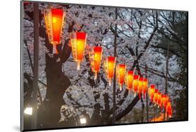 Red Lanterns Illuminating the Cherry Blossom in the Ueno Park, Tokyo, Japan, Asia-Michael Runkel-Mounted Photographic Print