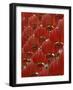 Red Lanterns on Boai Lu, Old Town, Dali, Yunnan Province, China-Walter Bibikow-Framed Photographic Print